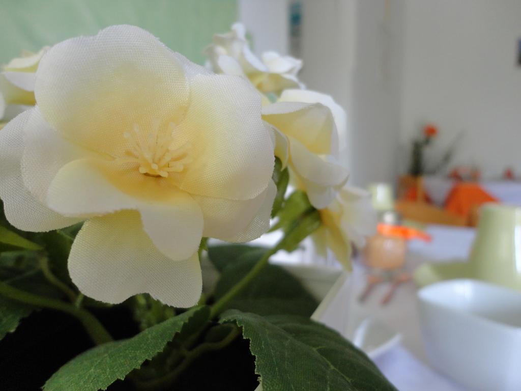 B&B Cristina チェントラ エクステリア 写真